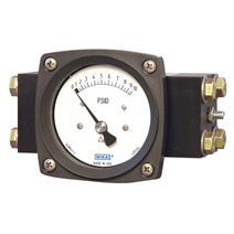 Differential Pressure Gauges<br>
Model 700.05