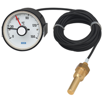 Expansion thermometer with micro switch