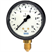 Hydraulic pressure gauge model 113.13