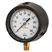 XSEL® Process Gauge - Copper Alloy<br>
Model 212.34 - Dry Case
Model 213.34 - Liquid-filled Case