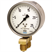 Differential pressure gauge